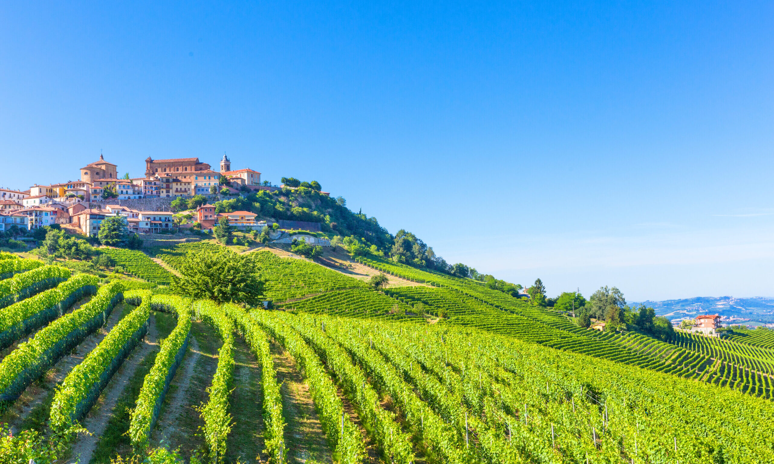 Read more about the article Italienische Weinstraßen