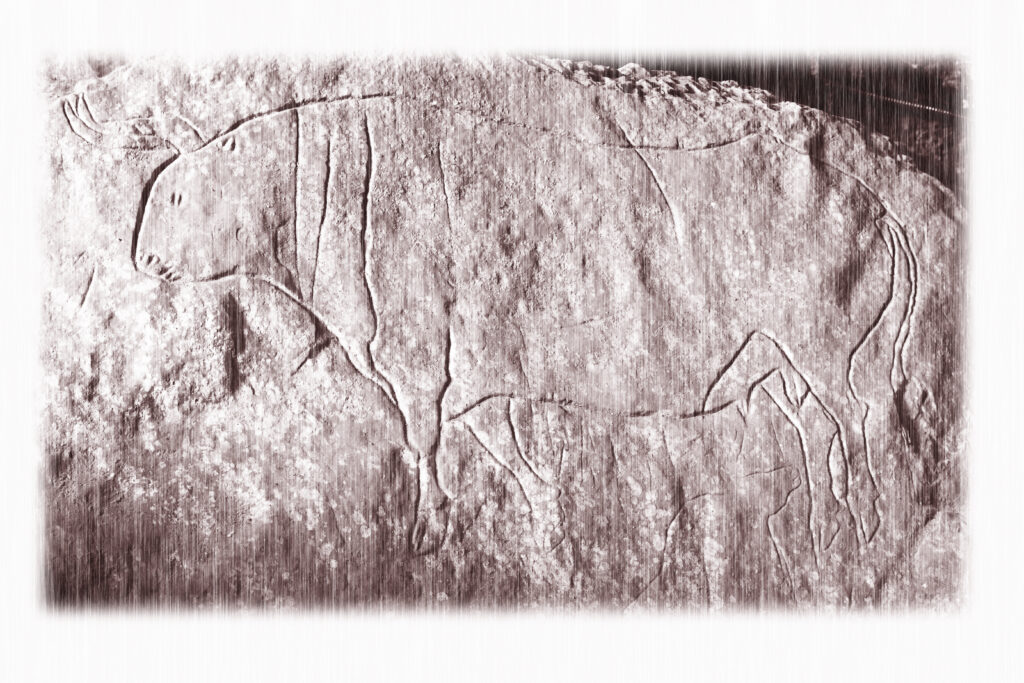Prehistoric art in the Grotta del Romito in South-Italy