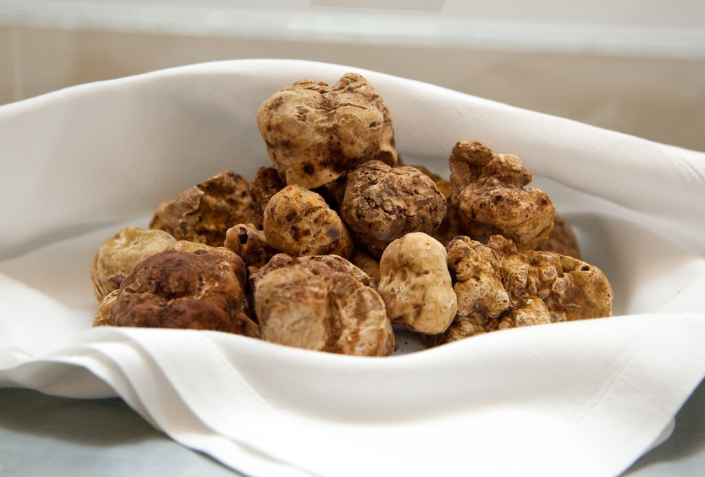 Italian White Truffles