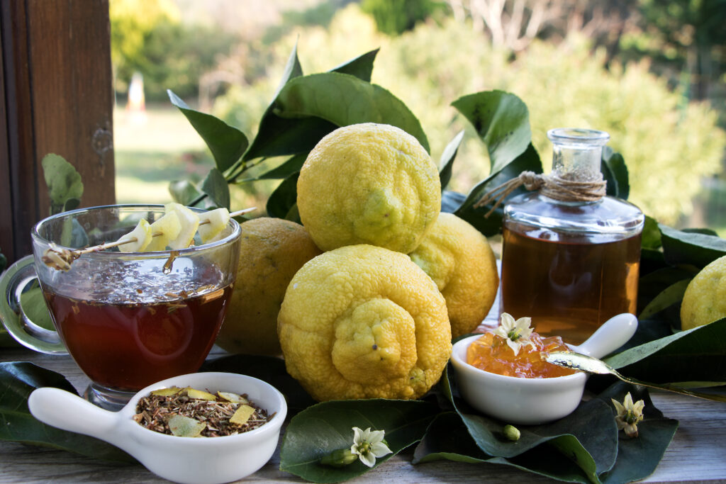 Bergamot is a typical citrus fruit in Calabria