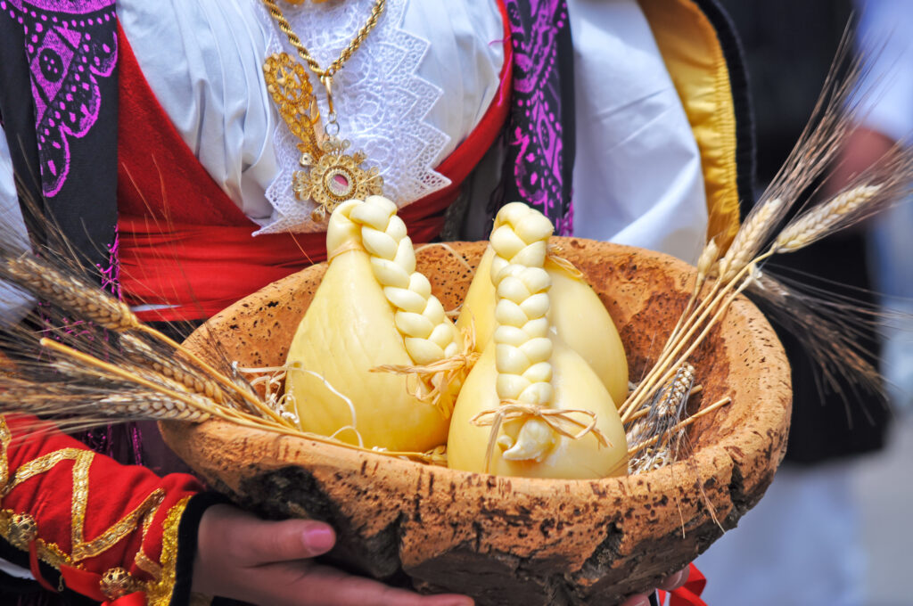 Typical Sardinian cheese