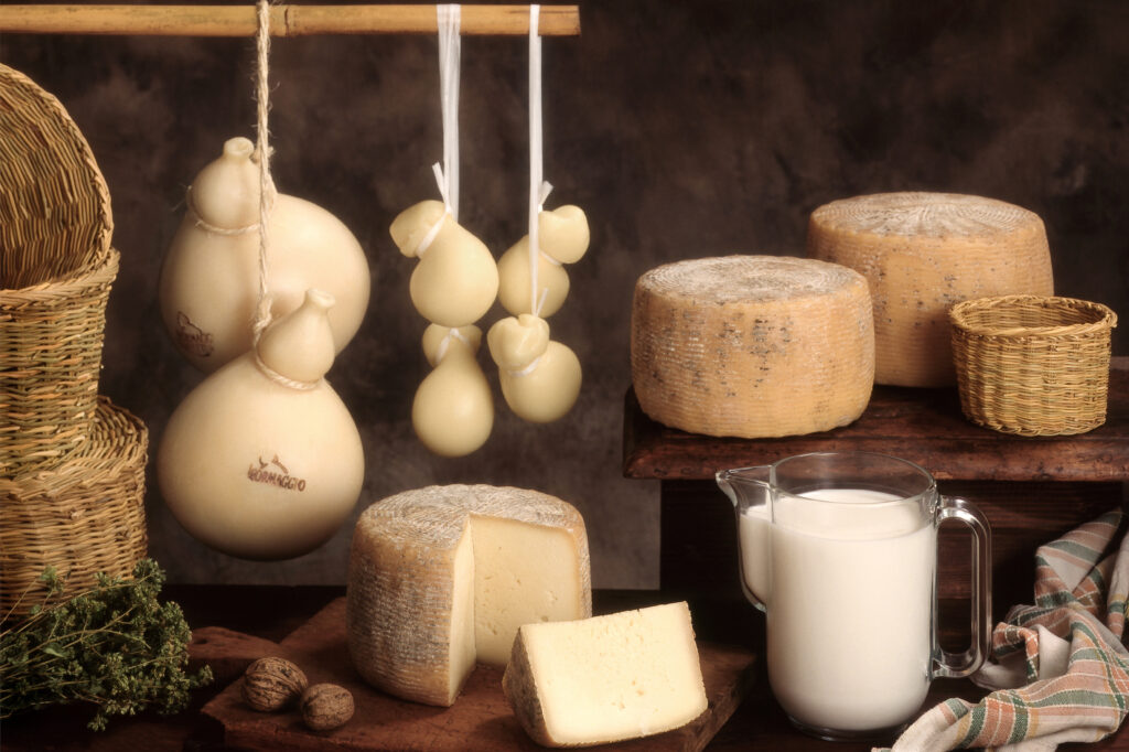 Typical dairy products in Molise in Italy