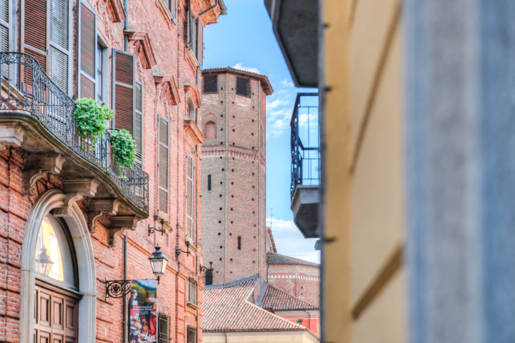 Vercelli is the European rice capital