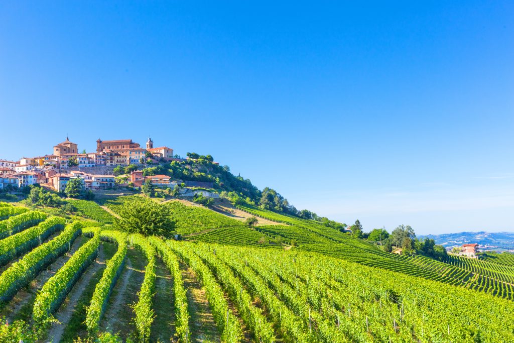 Famous wine region La Morra in Italy