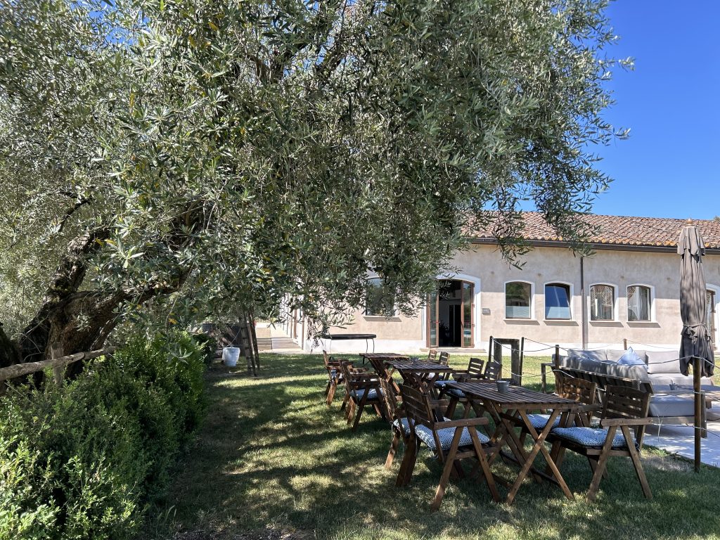 Outdoor space of Agriturismo with table and chairs and big olive tree.