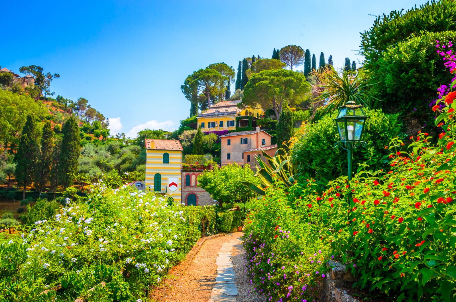 Beautiful nature and trekking paths in Portofino in Italy