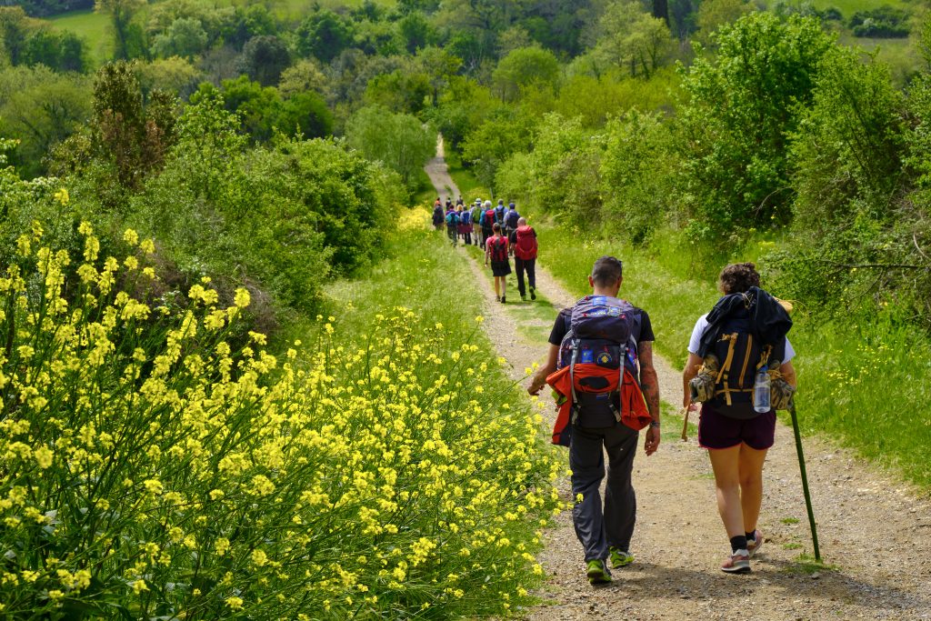 Gurppe bei Wanderung in Toskana, Italien. Natur.
