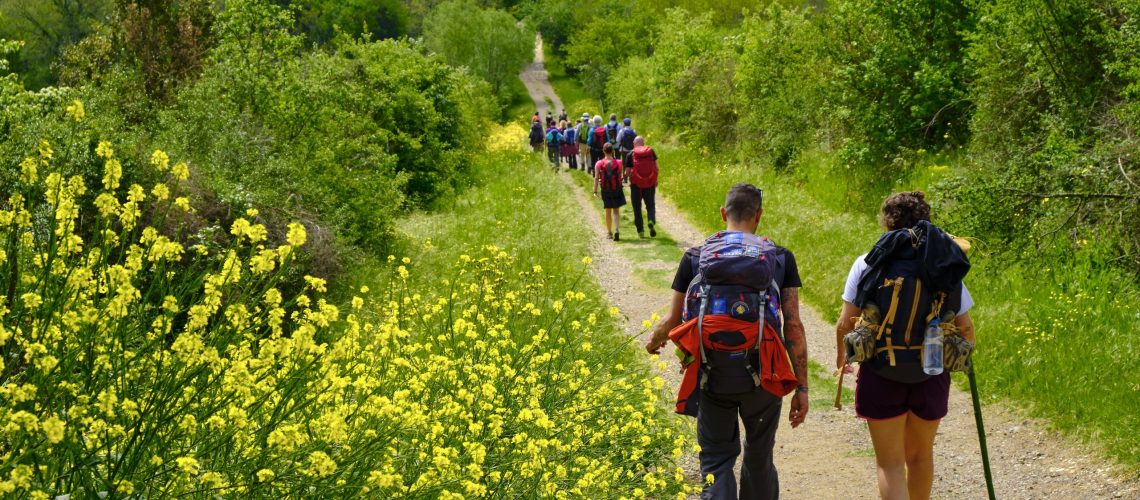 Gurppe bei Wanderung in Toskana, Italien. Natur.